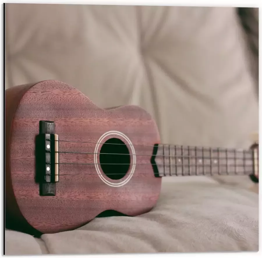 Dibond Roze Gitaar op Zijkant op Bank 50x50 cm Foto op Aluminium (Wanddecoratie van metaal)