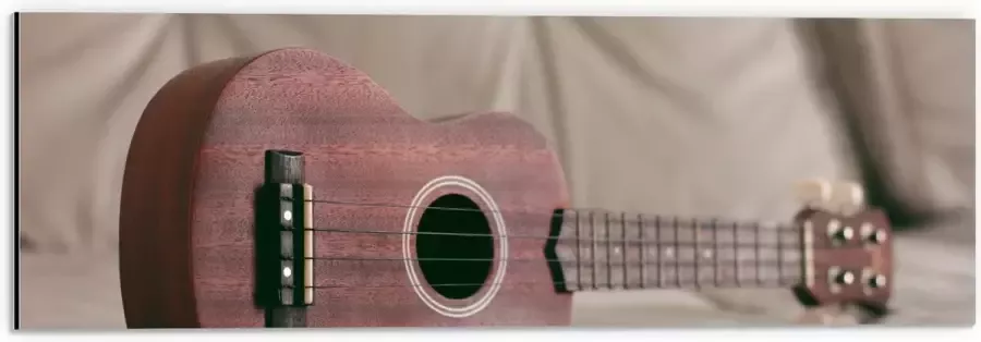 Dibond Roze Gitaar op Zijkant op Bank 60x20 cm Foto op Aluminium (Met Ophangsysteem)