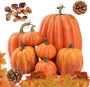 Loos merk DOJoykey Herfst Decoratie Set Grote Maat Kunstmatige Pompoen Esdoorn Bladeren Dennenappels Eikels voor Herfst Krans Gebruiken Herfst Home Tafel Thanksgiving Dag Halloween Party Decoratie - Thumbnail 1