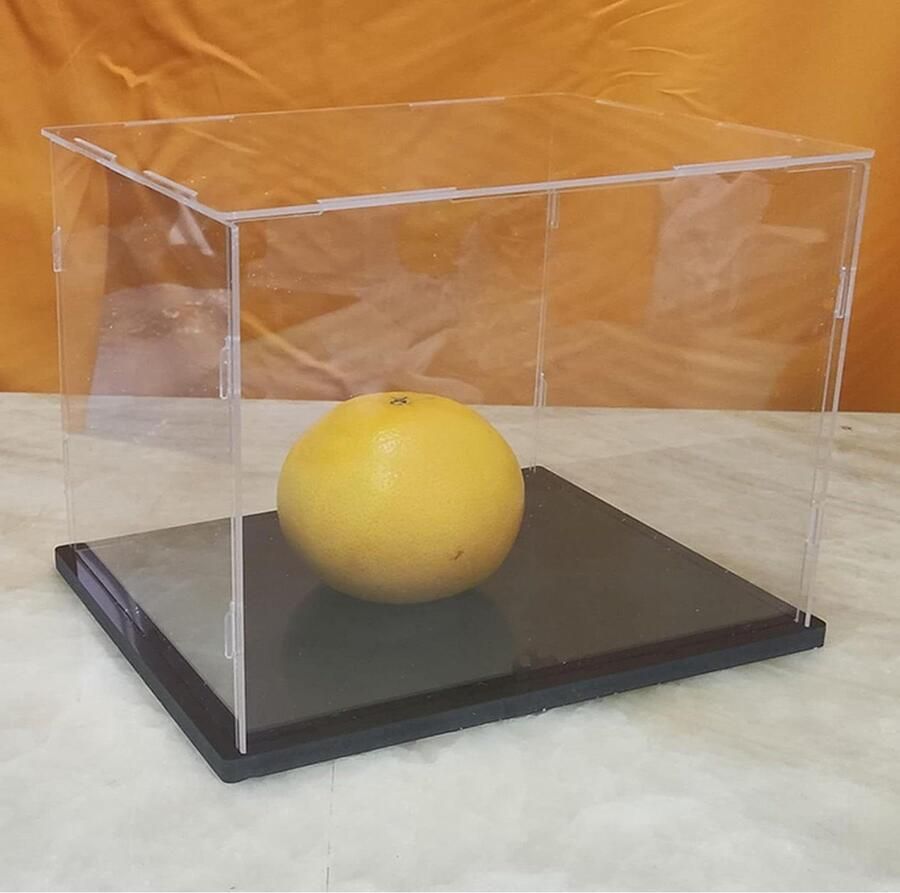 Doorzichtige acryl vitrine verzamelobjecten display 1 stuk transparant acryl 14x8x8 inch