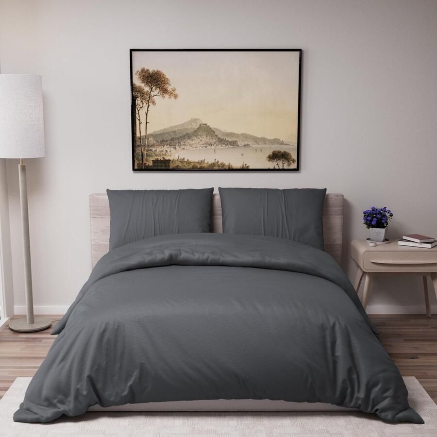 Dreamzie Dekbedovertrek 260x240 cm met 2 kussenslopen 65x65 cm Donkergrijs 260x240 bed voor volwassenen van 100 procent microvezel Gecertificeerd vrij van chemicaliën (Oeko TEX)