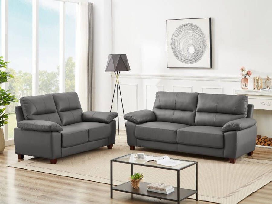 LINEA SOFA Driezitsbank en tweezitsbank van antracietgrijs leer TASANI L 205 cm x H 95 cm x D 92 cm