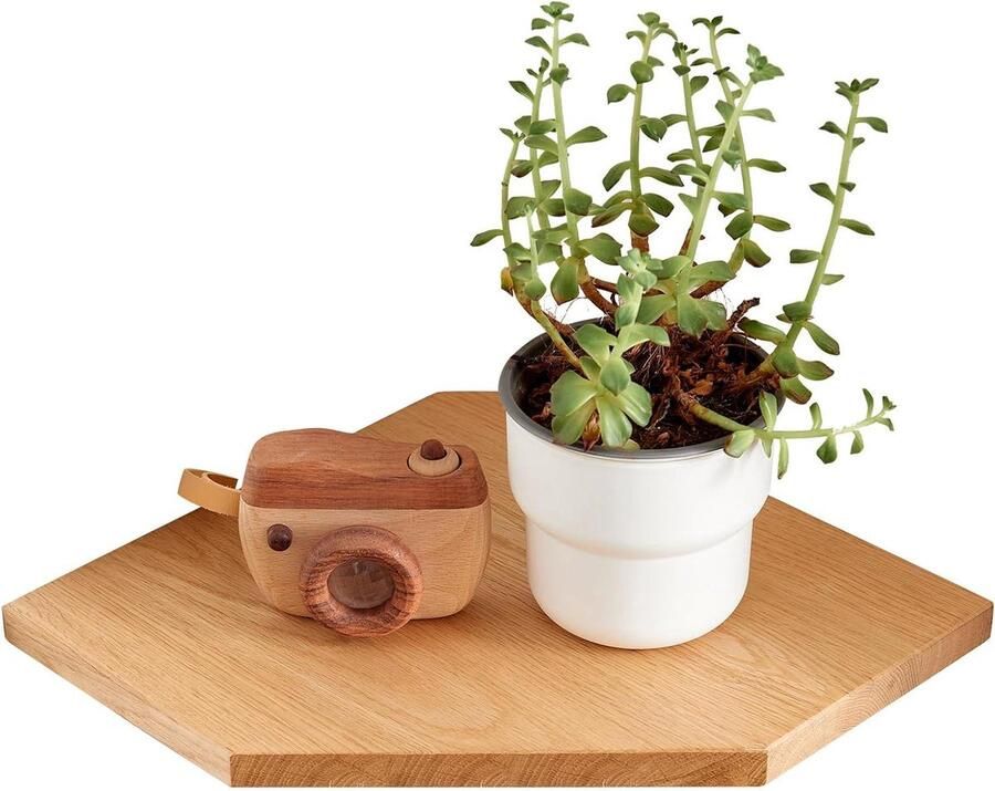 Drijvende Wandplank Hout Eiken Hoek Planken Geschikt voor Planten 1 stuk Natuurlijk Hout 22 cm