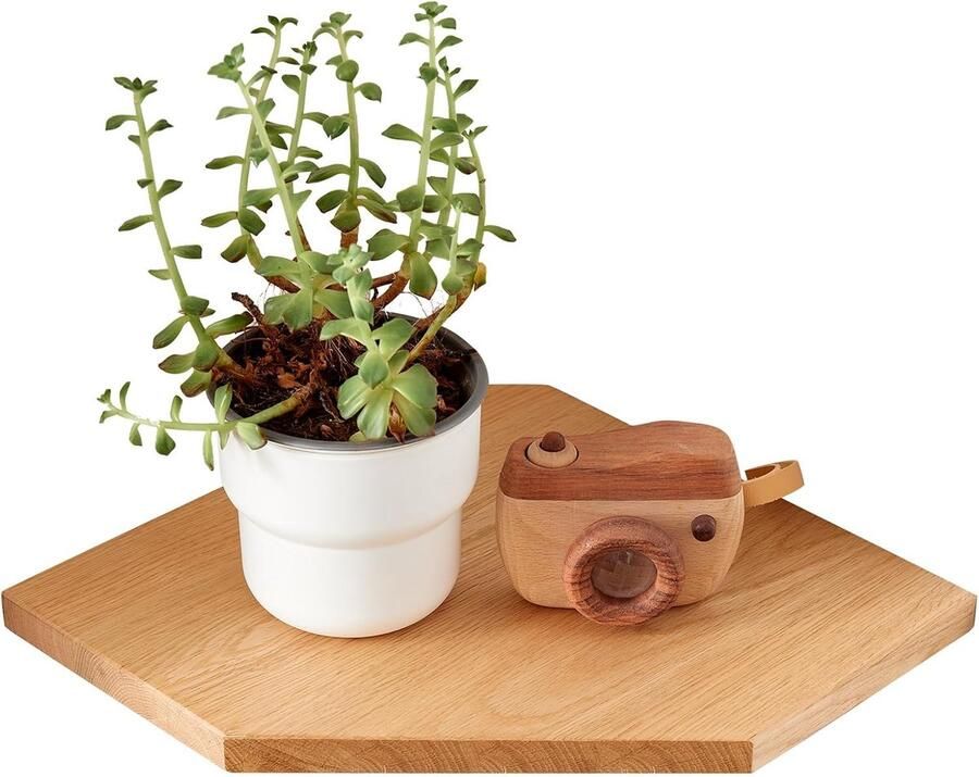 Drijvende Wandplank Hout Eiken Hoek Planken Klein Zwevend Wandrek 22 cm