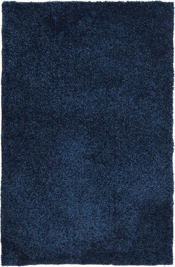 Dutch Lifestyle Debby Blue- Polypropyleen Vloerkleed Blauw 200x300cm