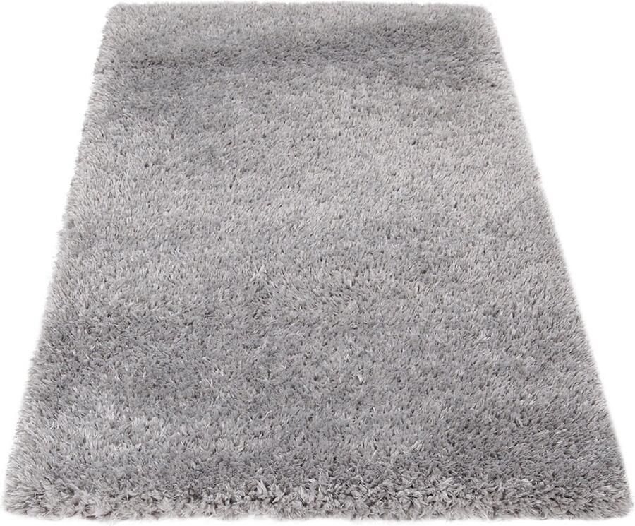 Dutch Lifestyle Vloerkleed Bold Donkergrijs 230x160cm 31918