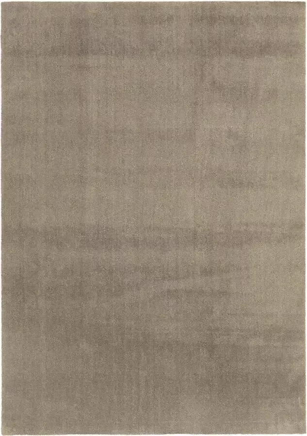 Dutch Lifestyle New York Polyester Vloerkleed 120x170 cm Bruin