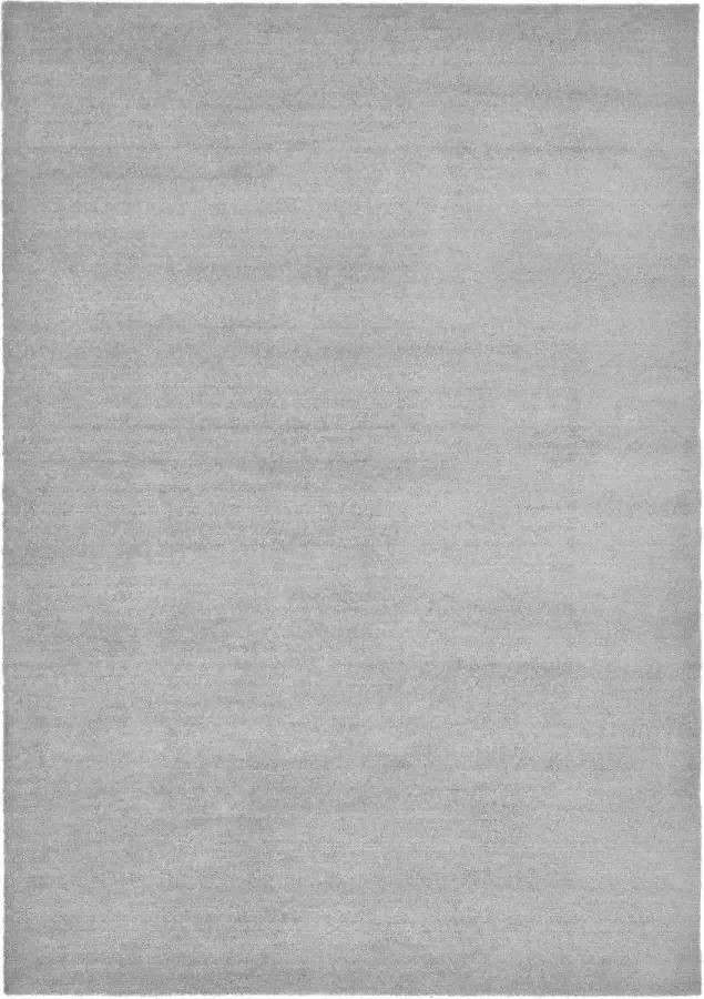 Dutch Lifestyle New York Polyester Vloerkleed 200x290 cm Grijs
