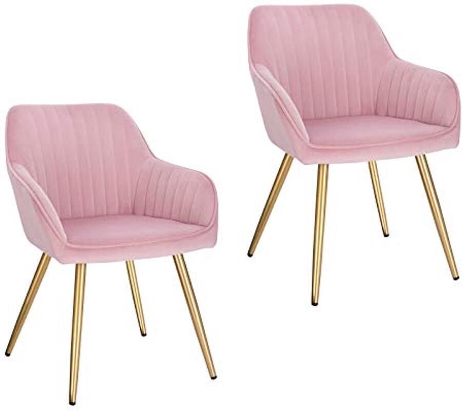 Eetkamerstoelen Set van 2 Fluwelen Keukenstoelen met Metalen Poten en Armleuningen