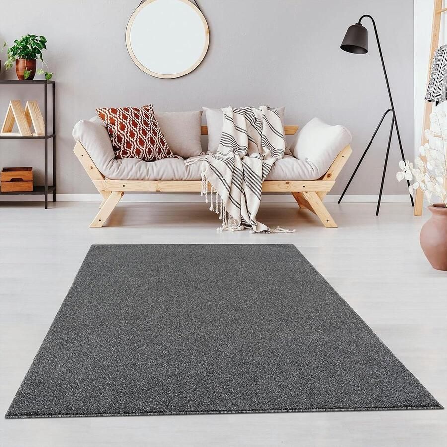 Effen vloerkleed grijs laagpolig 80 x 150 cm voor woonkamer kinderkamer slaapkamer werkkamer kantoor hal en keuken