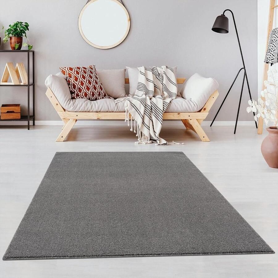 Effen laagpolig vloerkleed lichtgrijs 120 x 170 cm voor woonkamer kinderkamer slaapkamer werkkamer kantoor hal en keuken