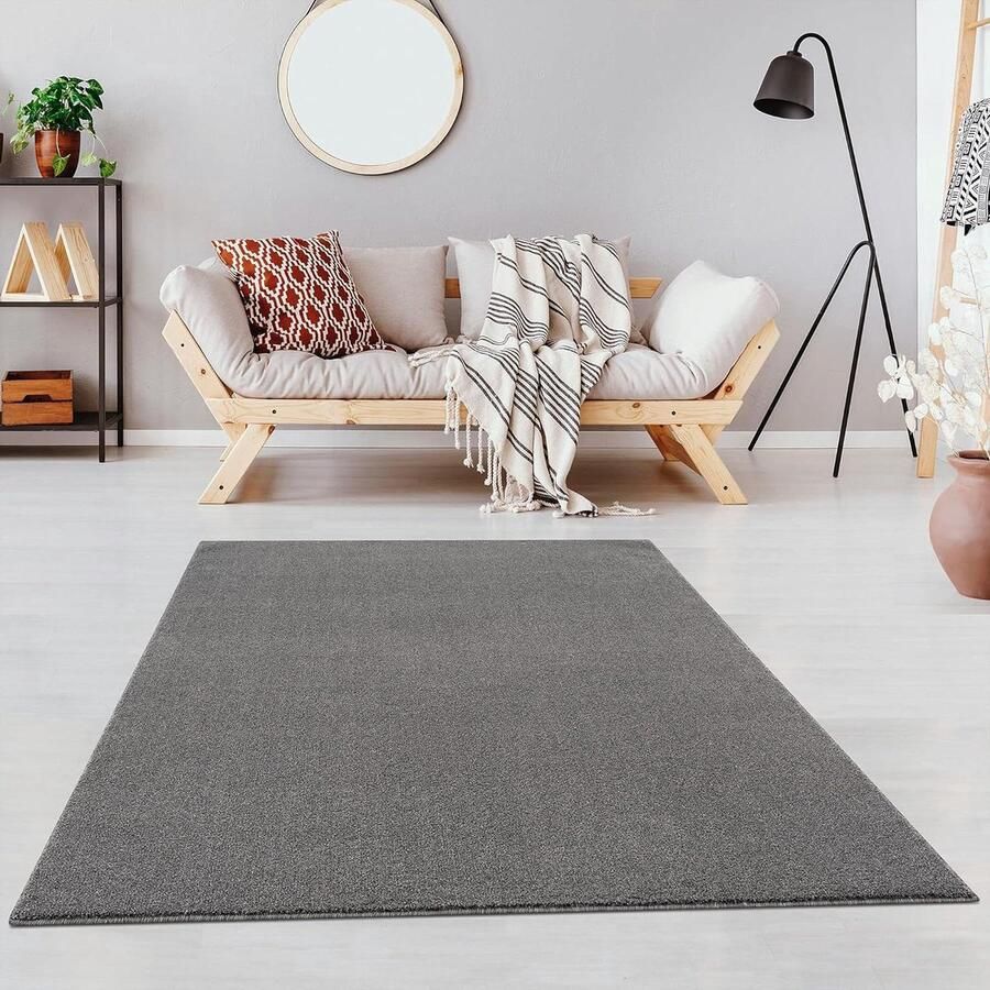 Effen Lichtgrijs Vloerkleed Hip en Functioneel 1 stuk 120x170 cm