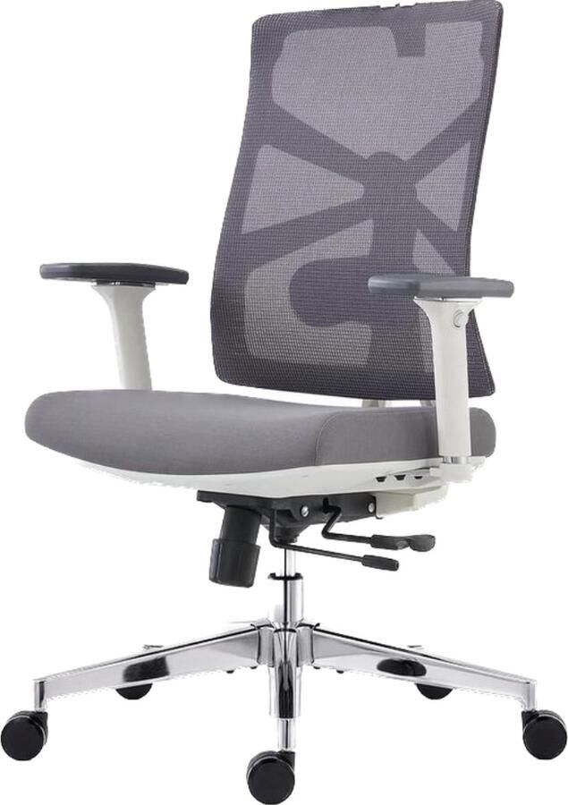 Ergonomische bureaustoel hoge rugleuning adaptieve rugleuning verstelbare armleuningen wit Bureaustoel