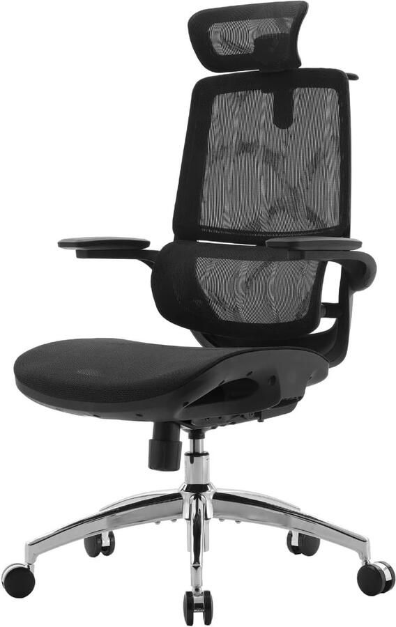 Retadou Ergonomische bureaustoel met 3D-gecoördineerde opklapbare armleuningen een rugleuning met twee zittingen en adaptieve lendensteun mesh bureaustoel voor thuiskantoor (zwart)