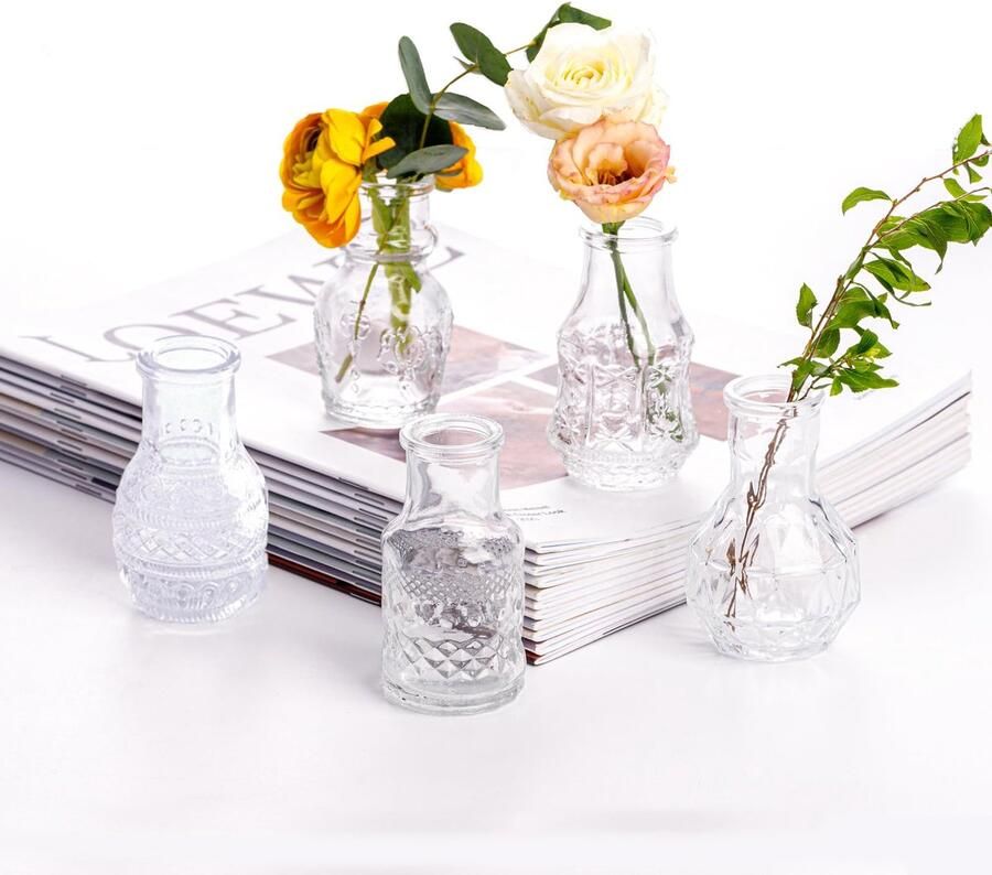 EylKoi Glazen Vazen Mini Transparante Vazen Vijf 5 Stuks Bloemen Leuke Vintage Kleine Glazen Kleine Bulk Verschillende Vorm Moderne Set Leuk voor Decoratie Tafel Bruiloft Thuis Tafel Diner Feest