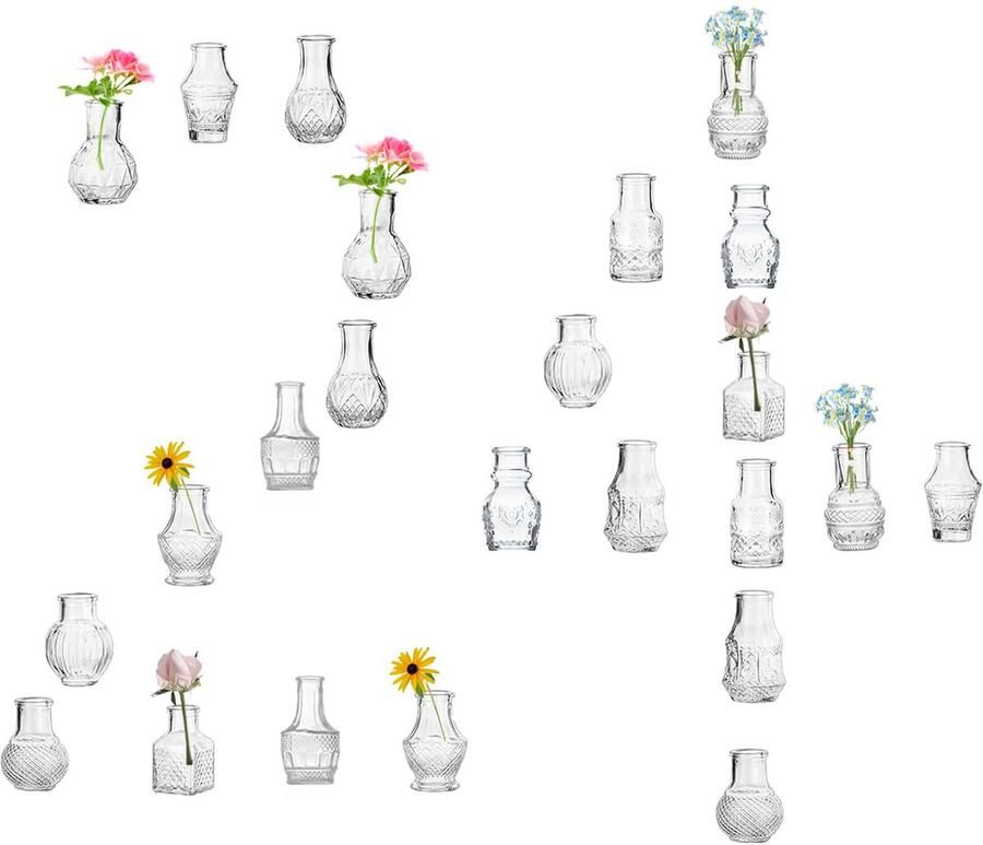 EylKoi Transparante Glazen Vaas Leuke Mini Vazen 24 Stuks Bloemen Vintage Klein Glas Klein In Bulk Verschillende Vormen Moderne Set Mooi voor Decoratie Tafel Bruiloft Thuis Tafel Diner Feest