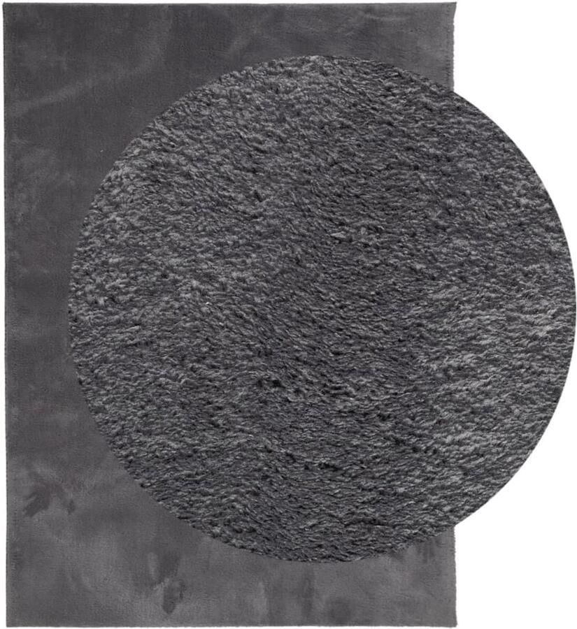 FIONERA Vloerkleed HUARTE laagpolig zacht wasbaar 140x200 cm antraciet