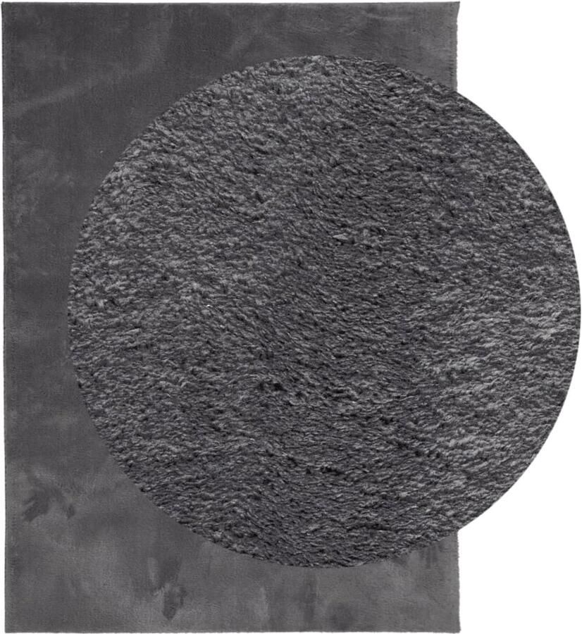 FIONERA Vloerkleed HUARTE laagpolig zacht wasbaar 160x230 cm antraciet