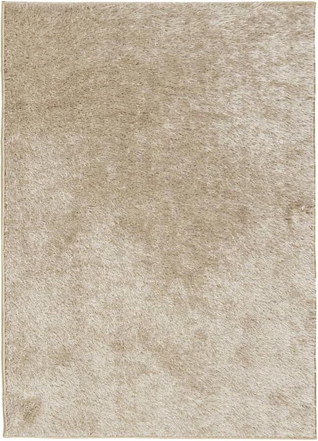 FIONERA Vloerkleed ISTAN hoogpolig glanzend 200x280 cm beige