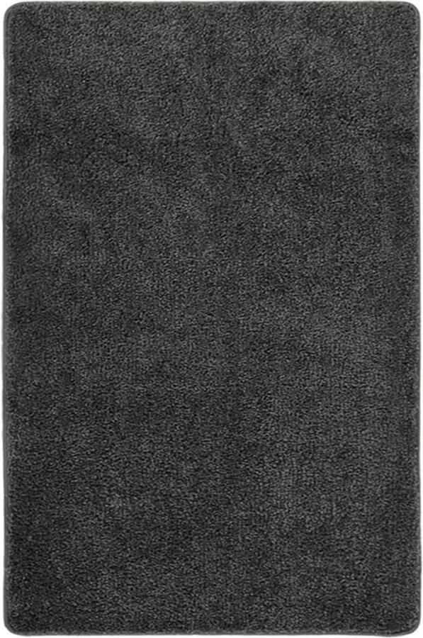 FIONERA Vloerkleed shaggy anti-slip 200x290 cm donkergrijs