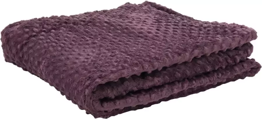Fleece deken Fleece plaid- 220 x 240 cm Paars- Met stippels Zacht comfortabel en warm Deken voor op de bank of bed Eyecatcher voor interieur