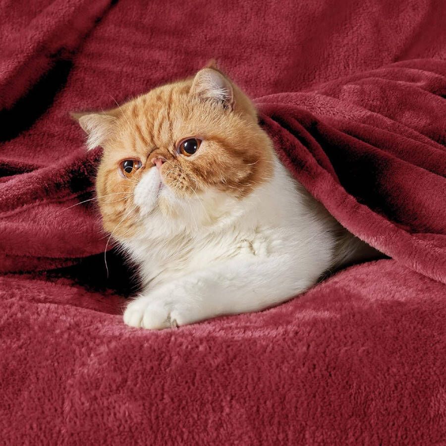 Fleece deken voor bed en bank donkerrood 130x150cm deken voor 1 persoon super zachte donzige deken voor woonkamer en slaapkamer