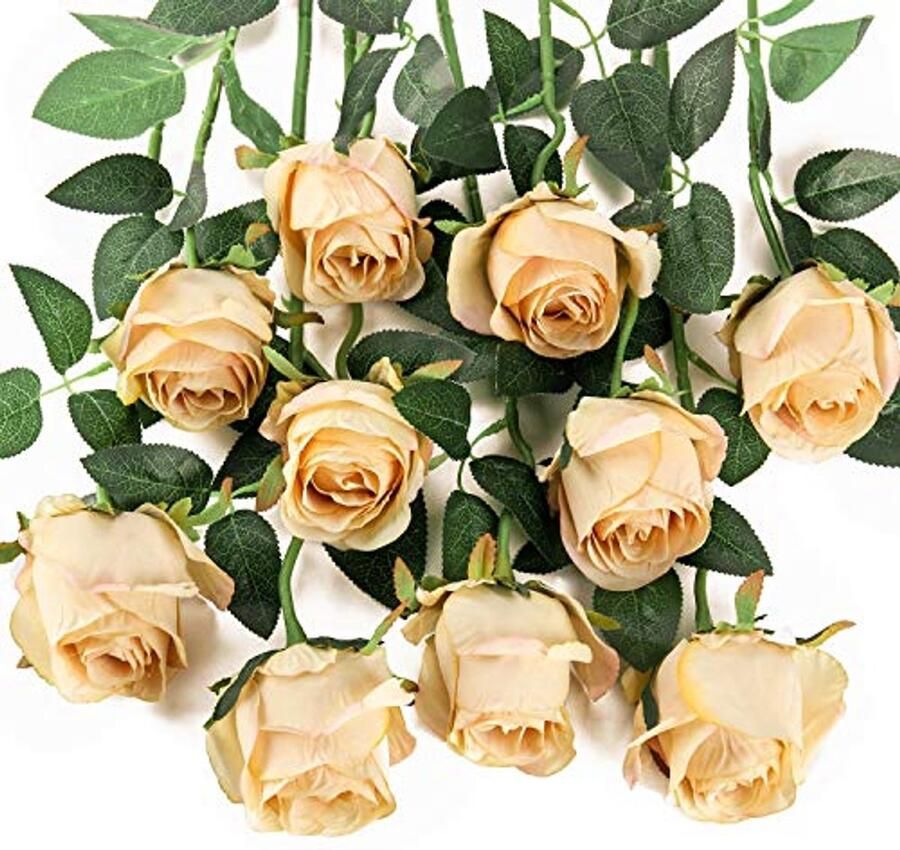 Flojery 10 stuks kunstmatige rozenbloemen met lange steel nepzijden rozen voor doe-het-zelf bruidsboeket tafel middelpunt woondecoratie (champagne)
