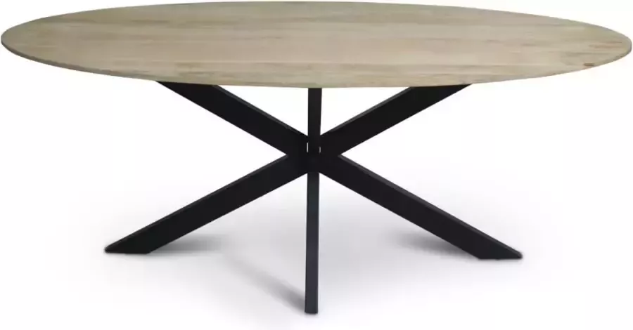 Florence vergadertafel van 200 x 100 cm met ovale Mango houten blad met facetrand aan onderzijde. Bladkleur naturel glad afgewerkt. Onderstel is een spinpoot in de kleur zwart - Foto 1