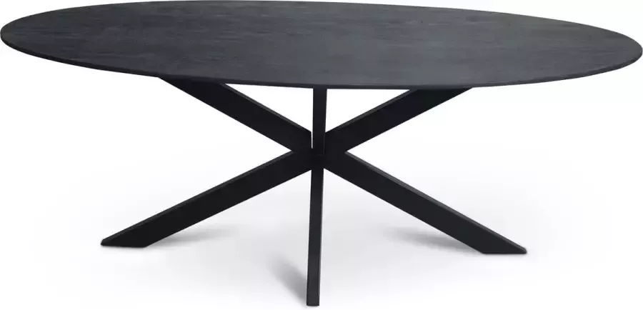 Florence vergadertafel van 200 x 100 cm met ovale Mango houten blad met facetrand aan onderzijde. Bladkleur zwart glad afgewerkt. Onderstel is een spinpoot in de kleur zwart