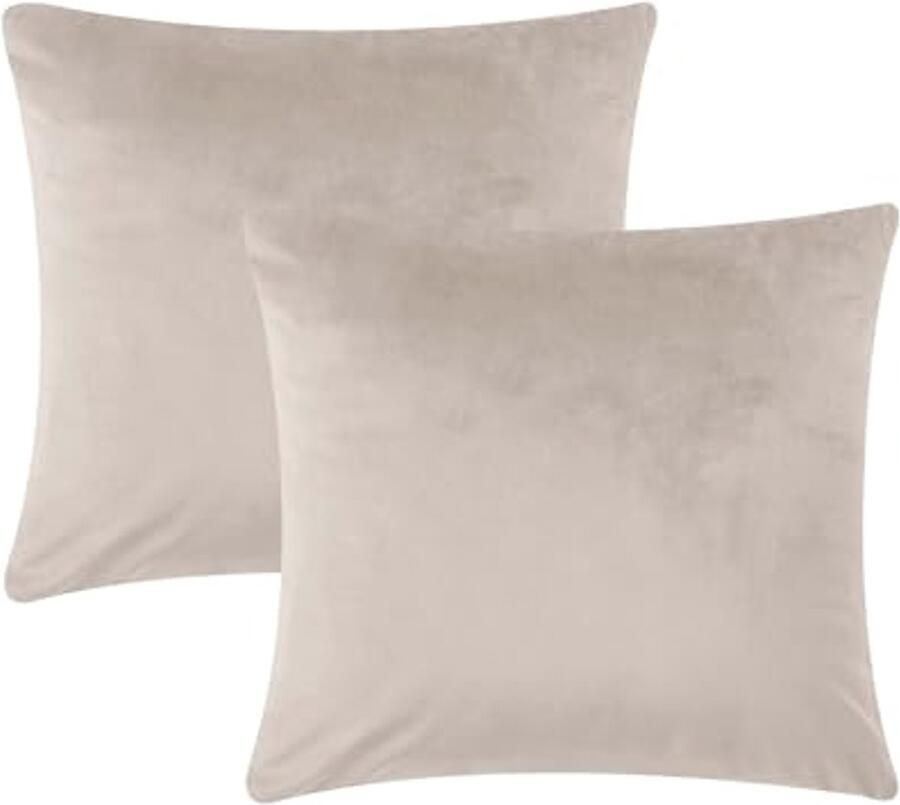 Fluwelen Kussenhoes 45 x 45 cm Set van 2 Decoratieve Kussens voor Bank en Slaapkamer