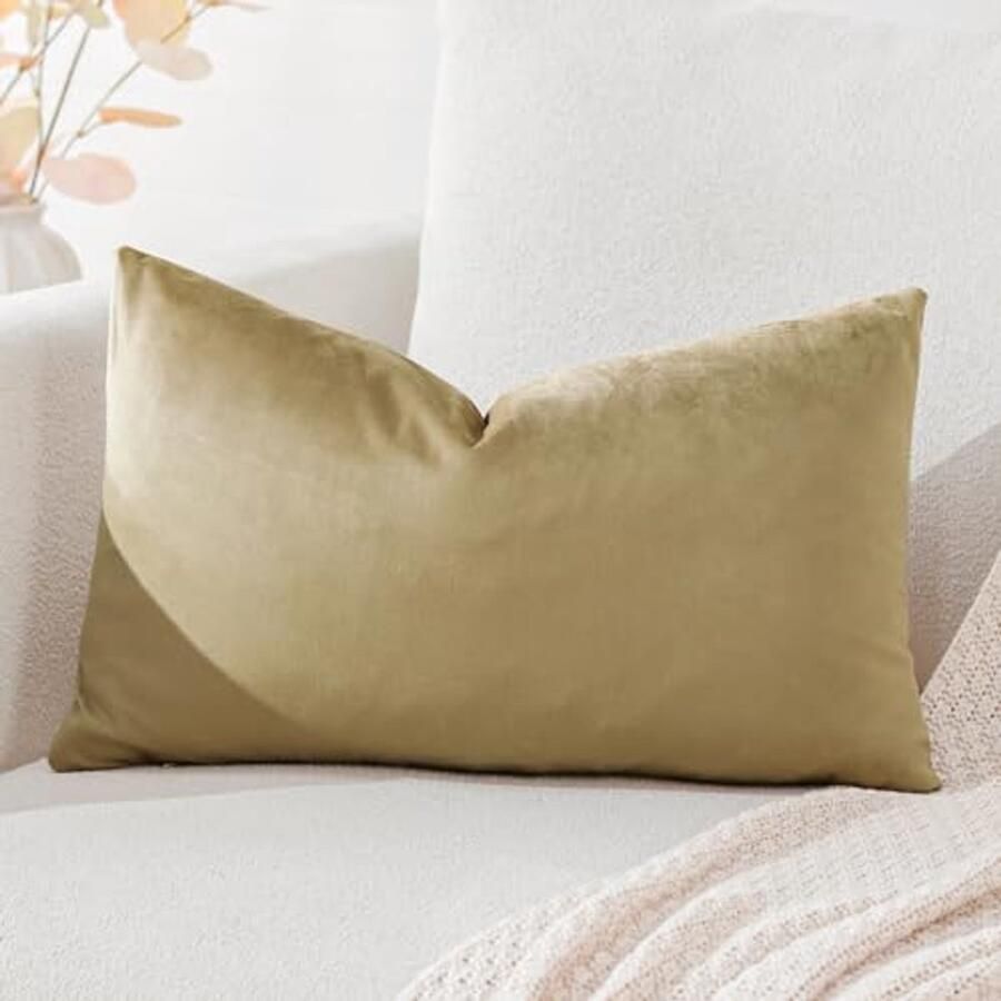 Fluwelen Kussenhoezen 40 x 60 cm Superzacht en Decoratief voor Bank Sofa Slaapkamer en Auto