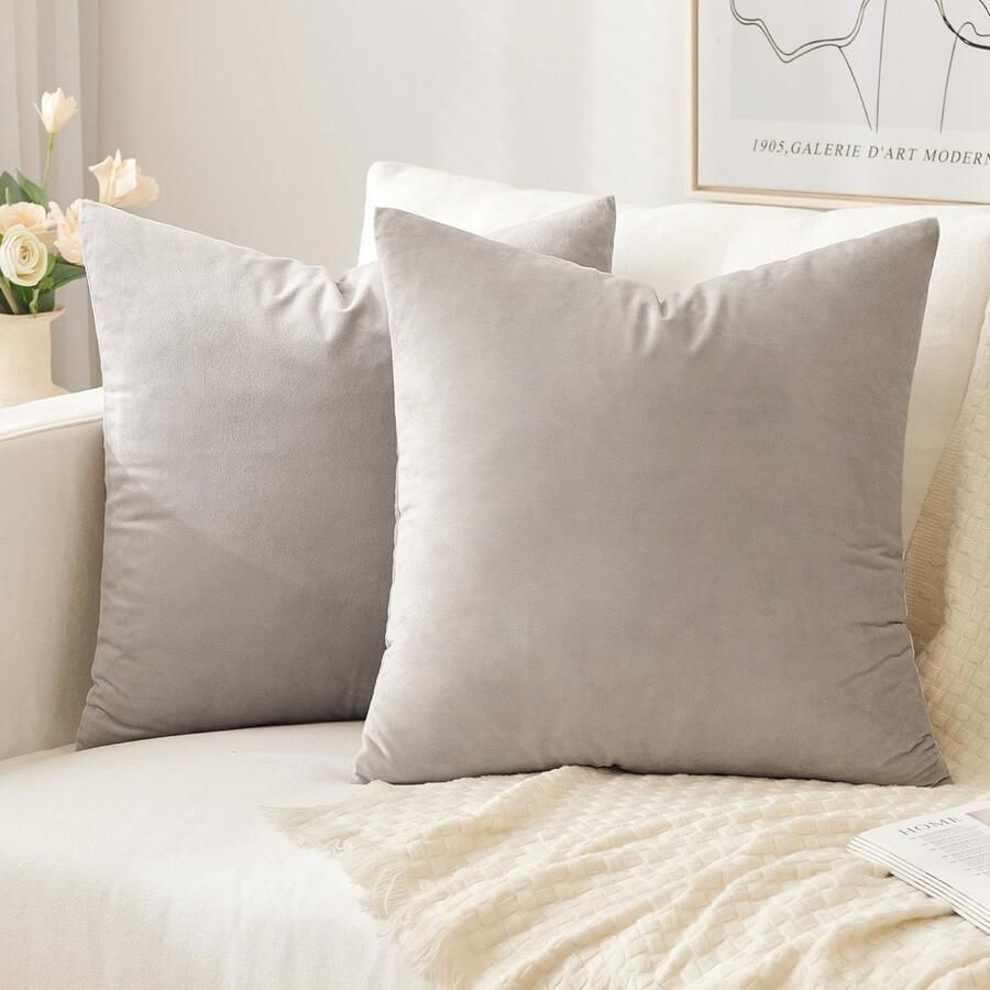 Fluwelen kussenhoezen set van 2 Zachte decoratieve hoezen voor bank en slaapkamer 50 x 50 cm