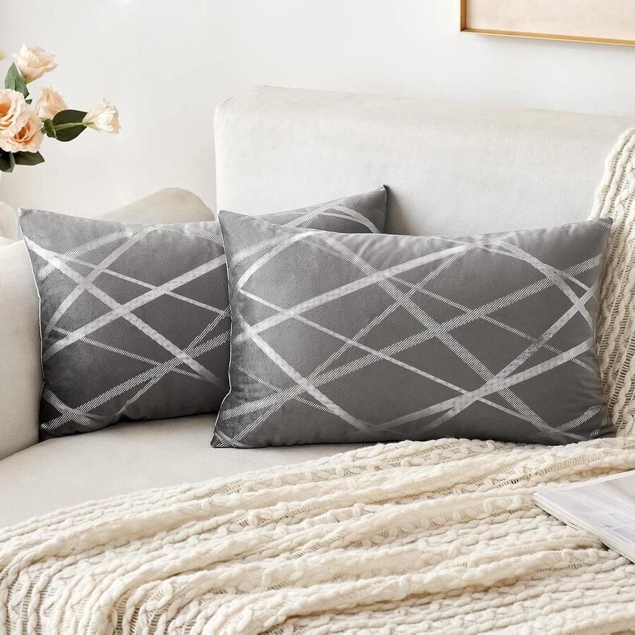 Fluwelen kussenhoezen Set van 2 zilver decoratief vierkant ontwerp 30 x 50 cm lichtgrijs Voor bank woonkamer slaapbank slaapkamer