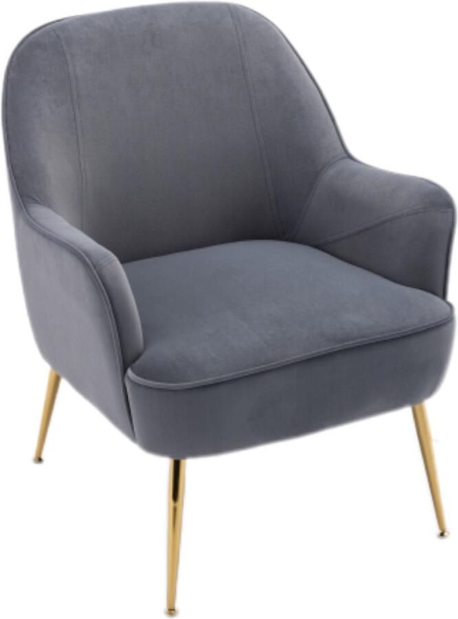 Zonder merk Gotagee fluwelen stof fauteuil woonkamerstoel slaapkamerstoel stoel voor thuis met gouden poten en verstelbare poten grijs