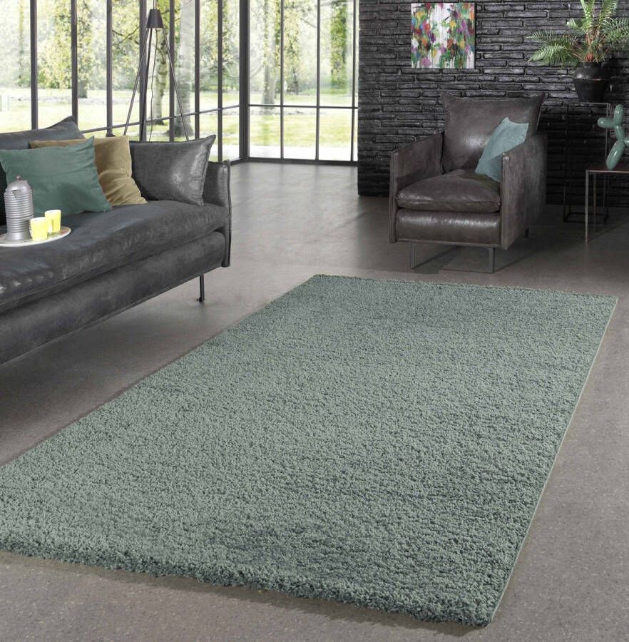 Flycarpets Candy Shaggy Vloerkleed Pastel Groen Hoogpolig 120x170 cm