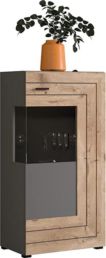 Rootz Living Rootz Freno Vitrinekast Houtmateriaal Grijze Replica Nox Eiken Replica 60cm x 194cm x 37cm Duurzaam Tijdloos Design