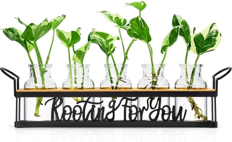 Gecanneleerde glazen vaas amberkleurige bloemenvazen ​​voor boeketten moderne glazen vaas voor woonkamer slaapkamer eettafel kantoor bruiloft boekenplank 20 cm