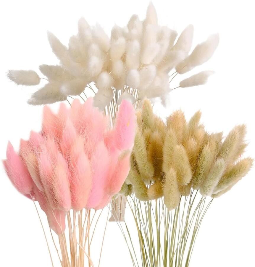 Gedroogd pampasgras 43 cm 180 stuks natuurlijke droogbloemen hazenstaartgras decoratie voor bloemen bruiloft woonkamer tafel slaapkamer