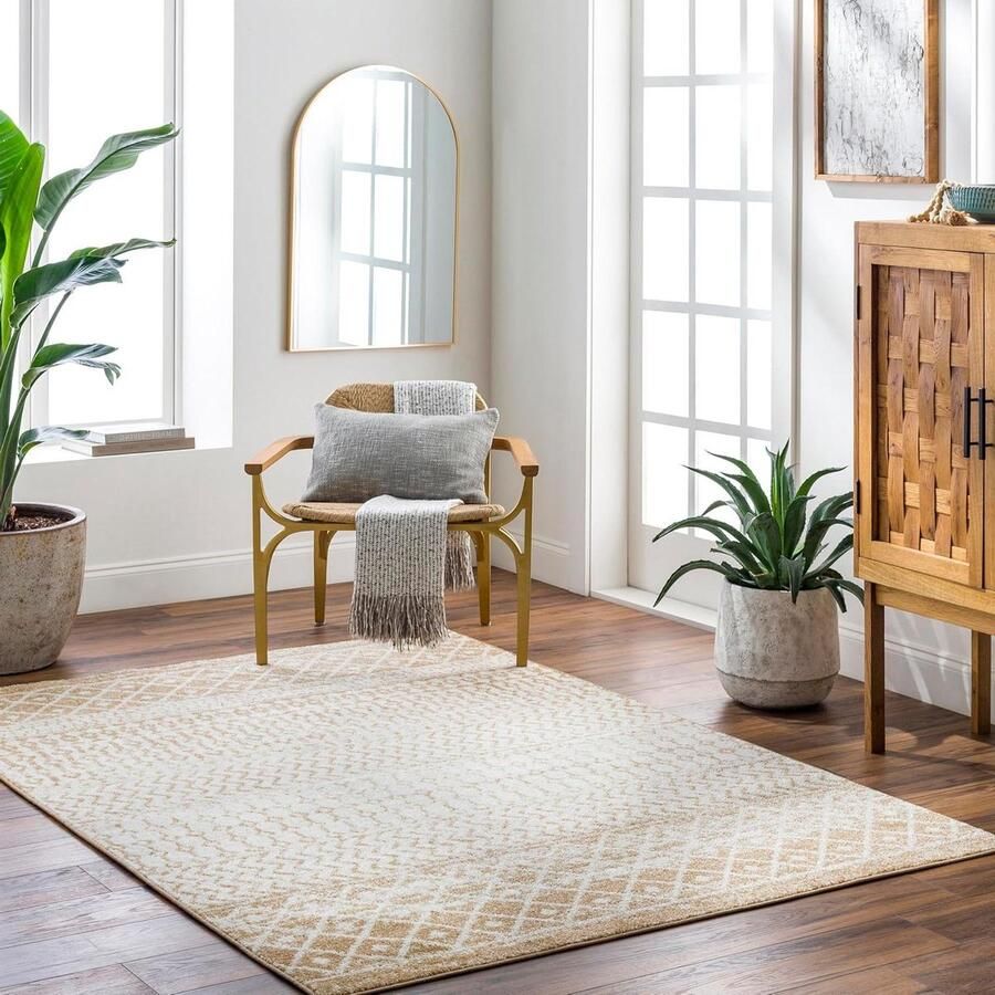 Geometrisch tapijt Scandinavisch Area tapijt woonkamer Abstracte Azteekse tapijt slaapkamer Boho Berber tapijt keuken eetkamer Gemakkelijk te onderhouden Groot