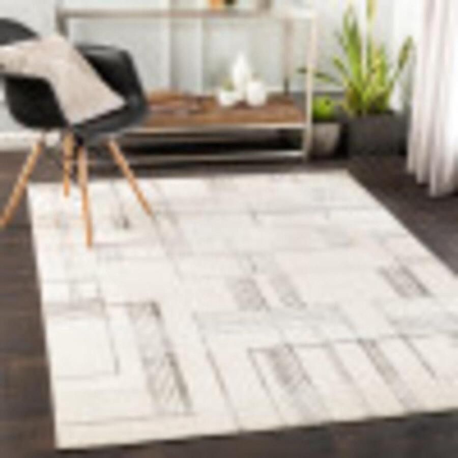 Geometrisch boho-tapijt voor woonkamer en slaapkamer zacht en abstract laagpolig tapijt eenvoudig onderhoud groot formaat 152 x 213 cm grijs