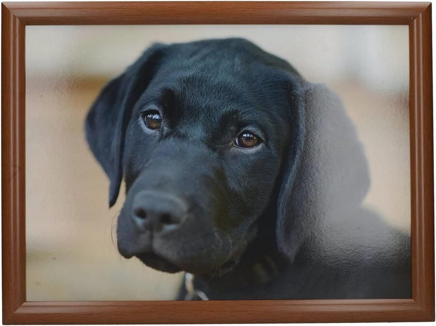 Gewatteerde Zitzak Schootdienblad 44 x 34 cm Meerkleurig