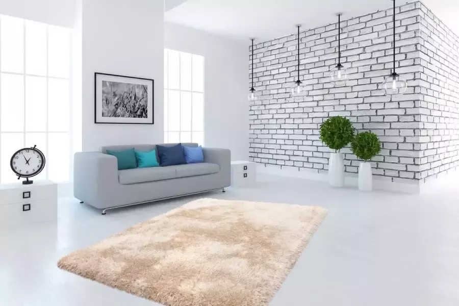 Gezellig Vloerkleed Champagne 200cm x 290cm
