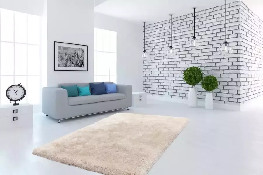 Gezellig Vloerkleed Ivoor 200cm x 290cm
