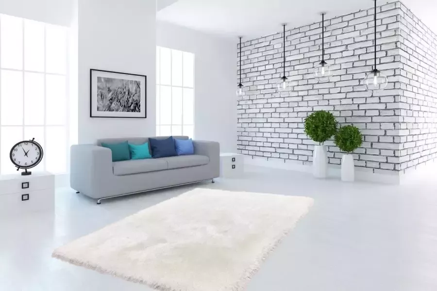 Gezellig Vloerkleed Wit 120cm x 170cm