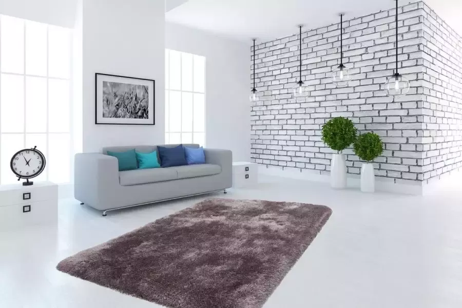 Gezellig Vloerkleed Zilver 160cm x 230cm