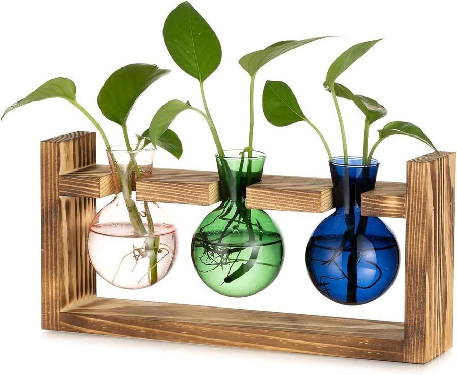 Glas Propagatie Station voor Huis Kleine bol Bloemenvaas met Houten Frame voor Binnen Woonkamer Keuken Venster Bureau Decor Kleurrijke Bud Vases Plant Terrarium voor Hydrocultuur en Decoratie