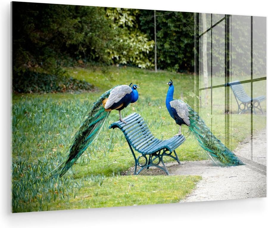 Glasschilderij 120x80 cm Schilderij acrylglas Pauw Bank Park Foto op glas Muurdecoratie woonkamer Wanddecoratie slaapkamer Schilderijen - Foto 2