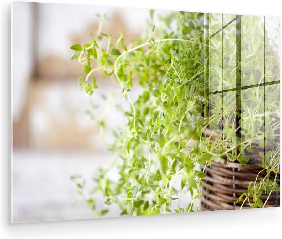 Glasschilderij 90x60 cm Schilderij acrylglas Rieten mand met de lichtgroene tijm planten op een rustieke tafel Foto op glas Muurdecoratie woonkamer Wanddecoratie slaapkamer Schilderijen - Foto 2