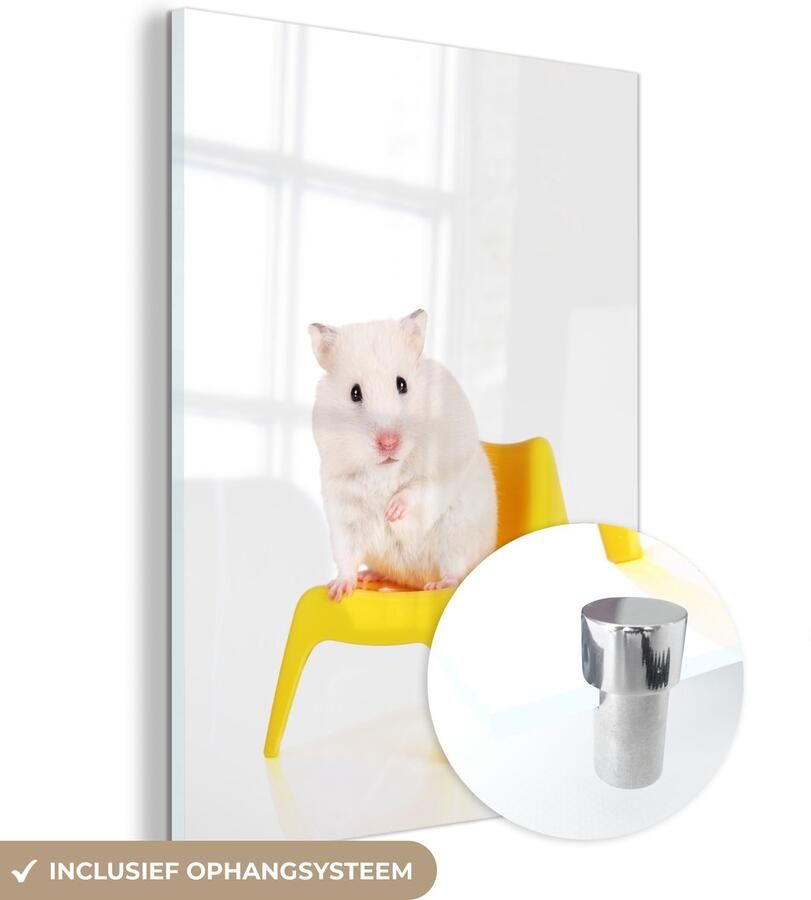 Glasschilderij 30x40 cm Schilderij acrylglas Witte hamster op een gele stoel Foto op glas Muurdecoratie woonkamer Wanddecoratie slaapkamer Schilderijen - Foto 2