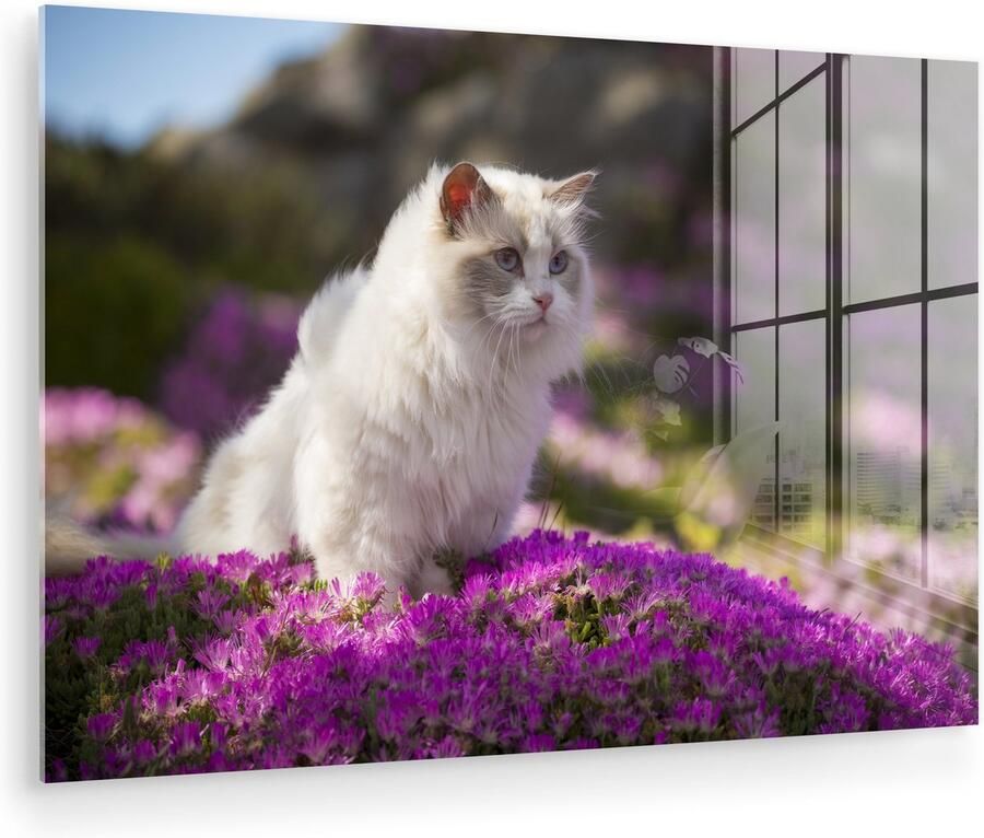 Glasschilderij 120x80 cm Schilderij acrylglas Een witte ragdoll kat zit in een bed van roze bloemen Foto op glas Muurdecoratie woonkamer Wanddecoratie slaapkamer Schilderijen - Foto 2